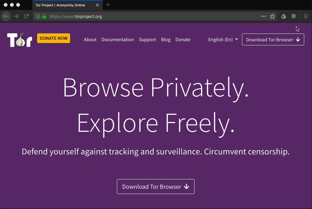 private anonymous browser tor гидра